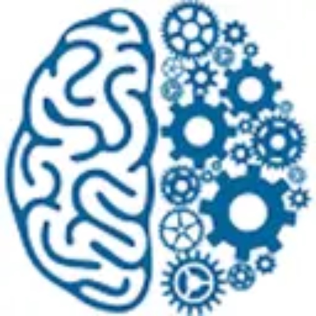 Brain Power Enrichment Programs